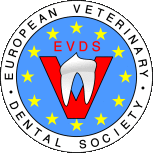 Tierarzt Hachenburg Gerhardus Kleintiere Kardiologie Zahnheilkunde GPCertCardiology